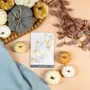 Senteurs - sachets parfumés - KARENA INTERNATIONAL