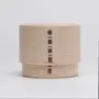 Everyday plates - Kikori Bento Box - JAPAN WOOD X CRAFTSMANSHIP