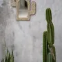 Miroirs - Le Cactus Shell Miroir - Blanc - BAZAR BIZAR LIVING