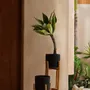Flower pots - The Charcoal Low - Black Natural - S - BAZAR BIZAR LIVING