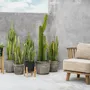 Flower pots - The Charcoal Low - Black Natural - S - BAZAR BIZAR LIVING