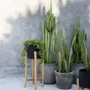 Flower pots - The Charcoal High - Black Natural - L - BAZAR BIZAR LIVING