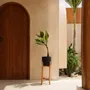 Flower pots - The Charcoal High - Black Natural - L - BAZAR BIZAR LIVING