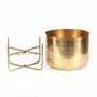 Vases - La Jardinière En Laiton Sur Pied - Laiton - XL - BAZAR BIZAR LIVING