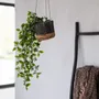 Flower pots - The Banana Plant Hanger - Natural Black - S - BAZAR BIZAR LIVING