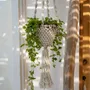 Vases - The Twisted Macramé Plant Holder - Natural White - M - BAZAR BIZAR LIVING