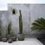 Vases - Le Vase Funky - Gris Antique - M - BAZAR BIZAR LIVING
