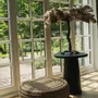 Autres tables  - La Table d’Appoint Timber Conic - Noir - 50 - BAZAR BIZAR LIVING