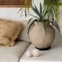 Decorative objects - The Bubble Shell Ball - White - L - BAZAR BIZAR LIVING