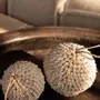 Decorative objects - The Bubble Shell Ball - White - L - BAZAR BIZAR LIVING