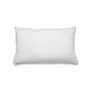Coussins - Le Coussin De Garnissage - Rectangulaire - Blanc - 30x50 - BAZAR BIZAR LIVING