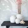 Objets de décoration - Le Pompon Coquillage Rose - BAZAR BIZAR LIVING