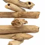 Objets de décoration - Le Raffia Driftwood - BAZAR BIZAR LIVING