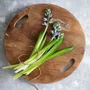 Trays - The Teak Root Tray - Natural - M - BAZAR BIZAR LIVING