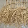 Blinds - The Casita Pendant - Natural - S - BAZAR BIZAR LIVING