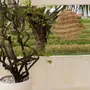 Suspensions - La Good Vibes Suspension - Naturel - M - BAZAR BIZAR LIVING