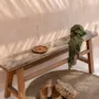 Design objects - The Incense Holder - Natural - BAZAR BIZAR LIVING