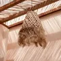 Hanging lights - The Abaca Jelly Fish Pendant - Natural - M - BAZAR BIZAR LIVING