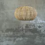 Blinds - The Cerise Pendant - Natural - BAZAR BIZAR LIVING