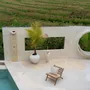 Cushions - The Isla Palm Cushion Cover - Natural White - BAZAR BIZAR LIVING