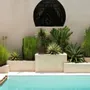 Blinds - The Lobster Trap Pendant - Black - L - BAZAR BIZAR LIVING