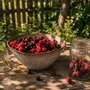 Bowls - The Peniche Serving Bowl - BAZAR BIZAR LIVING