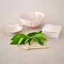 Kitchen utensils - Grace - Porcelain plates - PORCEL