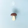 Broches - Porcini Mushroom Pin - PINTONIK