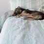 Beds - striped duvet cover - white with pistachio green - OTTOMANIA