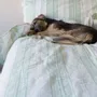 Beds - striped duvet cover - white with pistachio green - OTTOMANIA