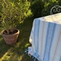 Other Christmas decorations - striped tablecloth - white-blue - OTTOMANIA
