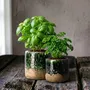 Flower pots - The Moss Planter - Concrete Green - S - BAZAR BIZAR LIVING