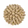 Decorative objects - The Oluolu Shell Ball - S - BAZAR BIZAR LIVING