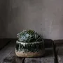 Pots de fleurs - Le Cache-Pot Bol Moss - Vert Béton - Bas - BAZAR BIZAR LIVING