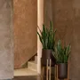 Pots de fleurs - Le Cache-Pot Forked Root - Brun Naturel - M - BAZAR BIZAR LIVING