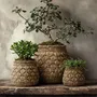 Flower pots - The Knot Concrete Planter - XL - BAZAR BIZAR LIVING