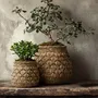 Pots de fleurs - Le Cache-Pot En Béton Knot - L - BAZAR BIZAR LIVING