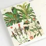 Carterie - Livres de Papier Créatif - THE PEPIN PRESS