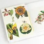 Carterie - Livres de Papier Créatif - THE PEPIN PRESS