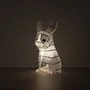 Desk lamps - Papercraft 3D DIY Kits - Paper Rabbit Night Light - MOKI MOKI