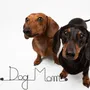 Gifts - Wall decoration\" Dog\” made of wire\ "Dog Mom\” - to pin - BIJOUX DE MUR