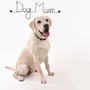 Gifts - Wall decoration\" Dog\” made of wire\ "Dog Mom\” - to pin - BIJOUX DE MUR