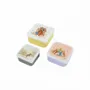 Food storage - Set of 3 lunch boxes Pierre Lapin - PETIT JOUR PARIS