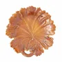 Everyday plates - Feuille de vigne plate - BOURG-JOLY MALICORNE