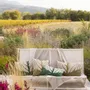 Cushions - Cushion Nilos Cèdre 40 X 65 - MAISON VIVARAISE - SDE VIVARAISE WINKLER