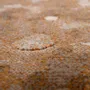Rugs - Enora Rug Naturel 160 X 230 X 1 - MAISON VIVARAISE - SDE VIVARAISE WINKLER