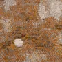 Rugs - Enora Rug Naturel 200 X 290 X 1 - MAISON VIVARAISE - SDE VIVARAISE WINKLER