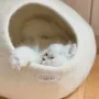 Rugs - Cat Cocoon, Cat Cave, Cat Sleeping, Cat Sleeping, Cat Basket, Igloo, Cat House, Bed, Cabin, Cat House - COCOON PARIS