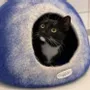 Rugs - Cat Cocoon, Cat Cave, Cat Sleeping, Cat Sleeping, Cat Basket, Igloo, Cat House, Bed, Cabin, Cat House - COCOON PARIS