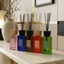 Scent diffusers - Reed Diffuser – Escale Olfactive Collection - LUMEA DECO